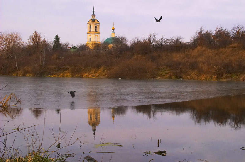 Очарование помойки