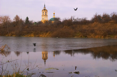 Очарование помойки