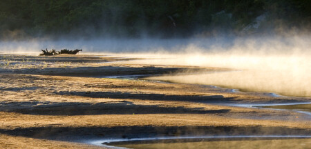 Август. Утро. Река.