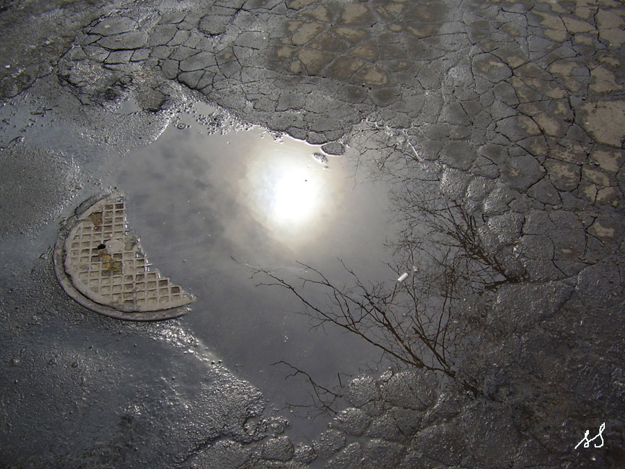 Sun in puddle