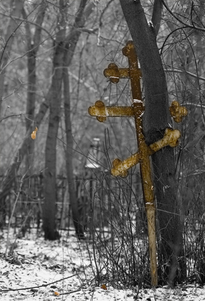Nature-Morte