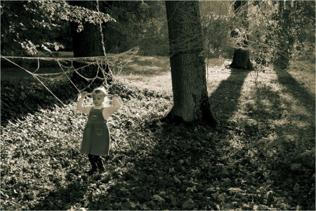 в театре осени 