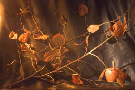 Натюрморт #1