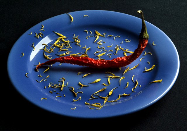 chilli pepper