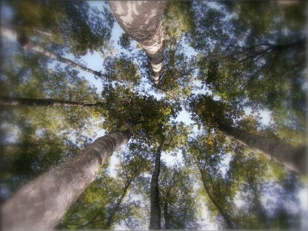 В минуту отдыха...