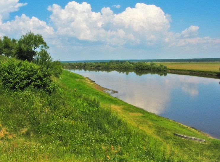 кусочек лета