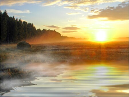 Утро туманное