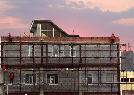 Снегири вьют гнёзда