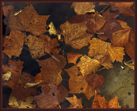 Fall-paper...