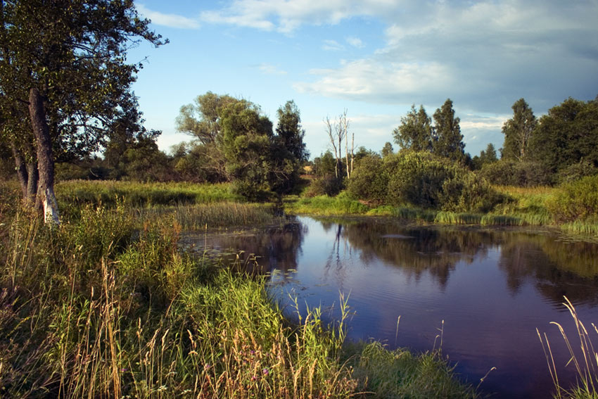 у реки