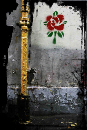 уличные растения