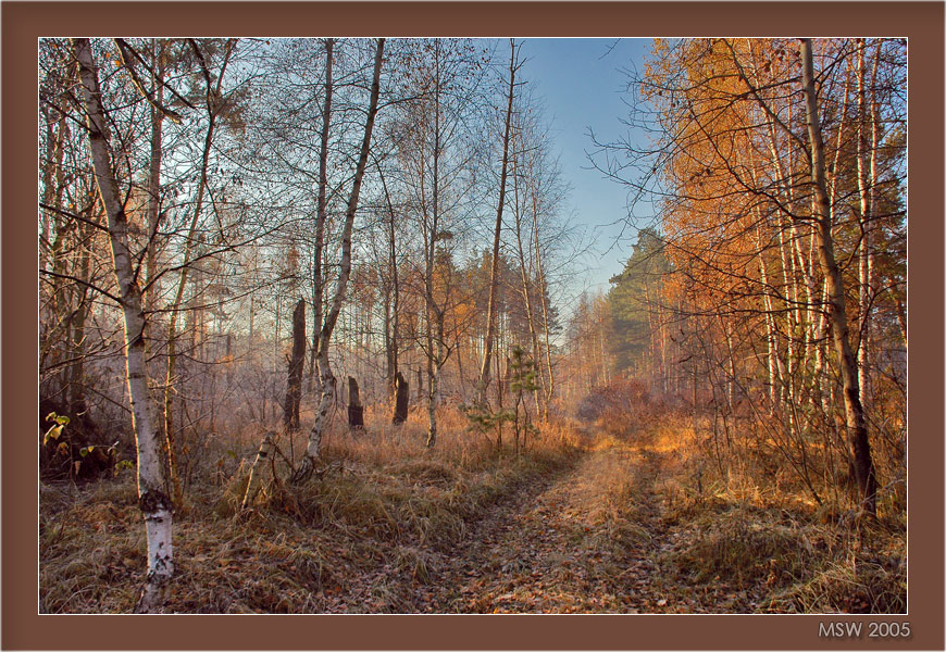 Морозное утро...