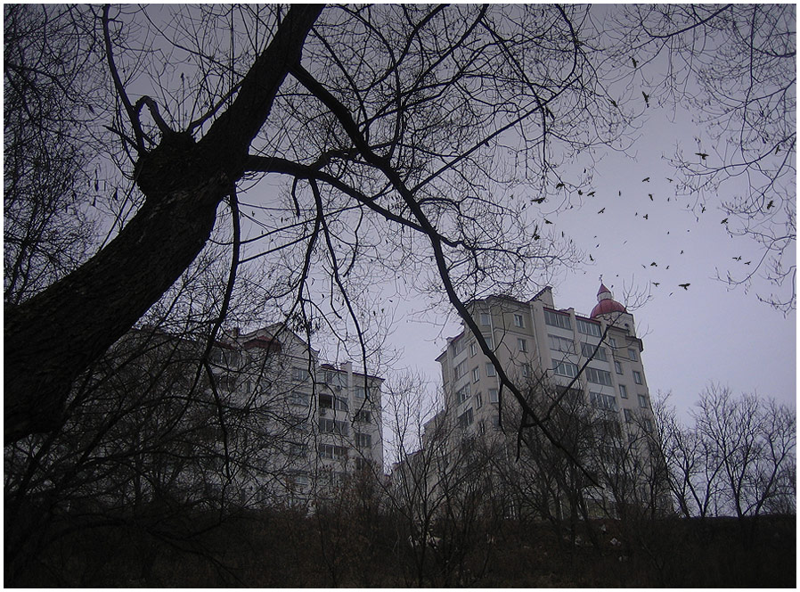 Осенняя для настроения