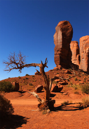 monument valley