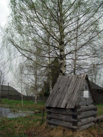 осень