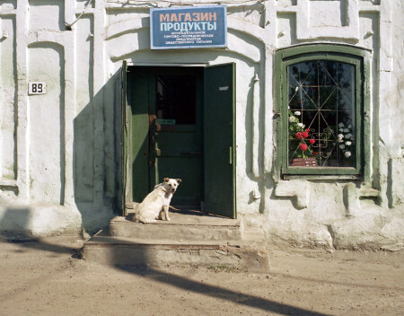 Первый покупатель
