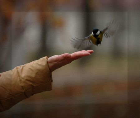 мягкая посадка