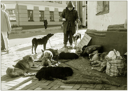 О жизни. Собачьей. Человечьей