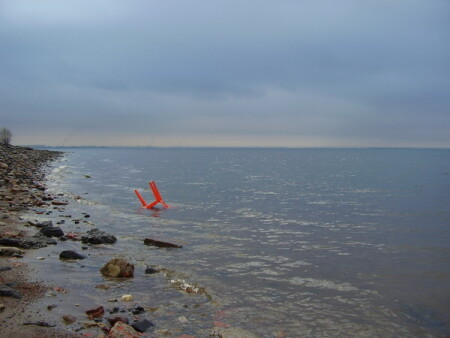 Дары моря