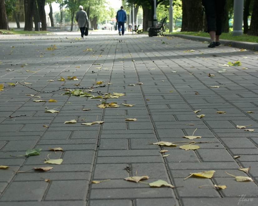 Первые шаги осени