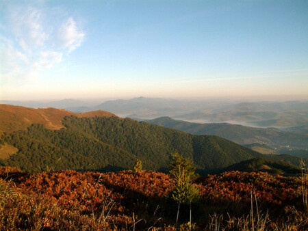 Безмятежное утро