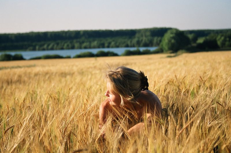 пшеничное поле