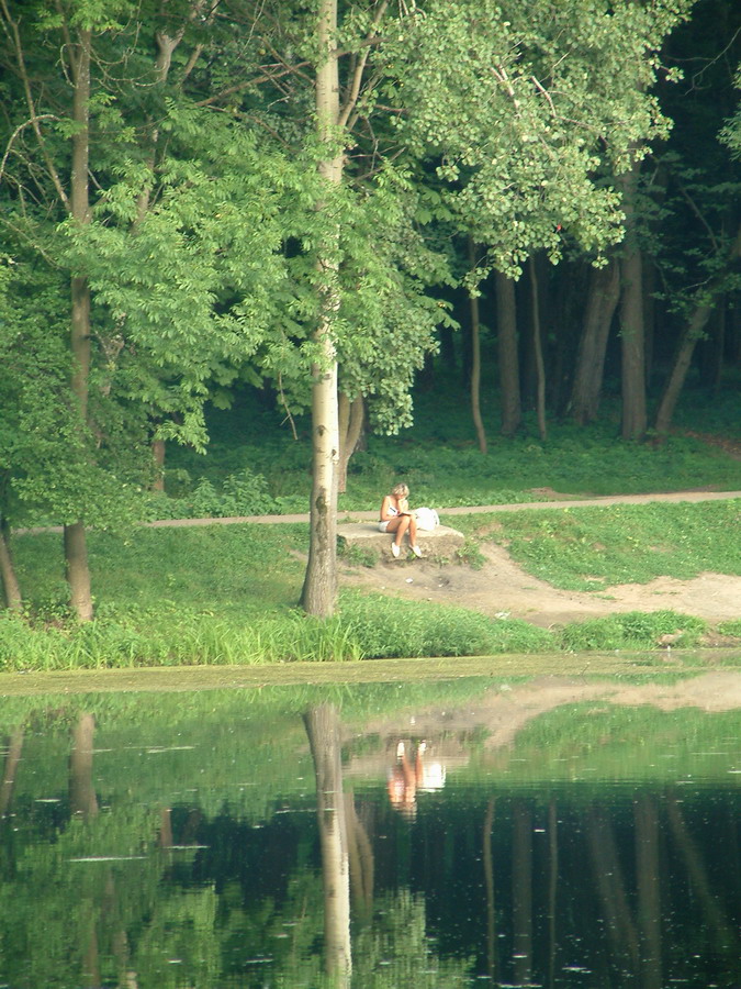 В тиши пруда...