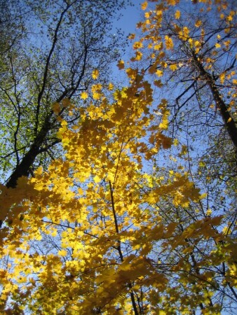 &amp;quot;Ностальгическая&amp;quot;