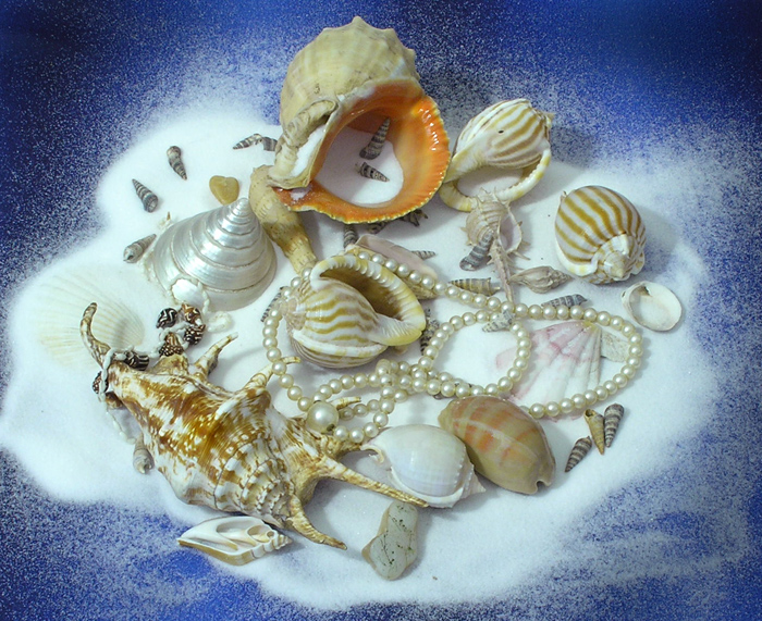 Мечты о море