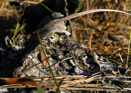 НА ГРЕБНЕ ВОЛНЫ !