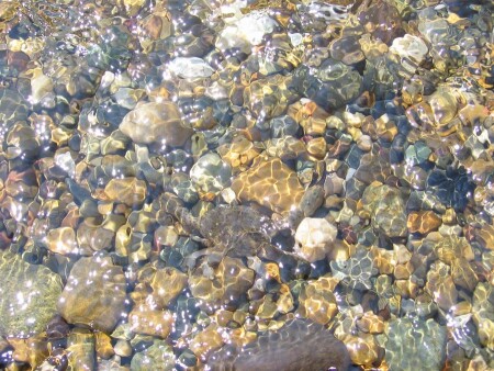 Найди краба!