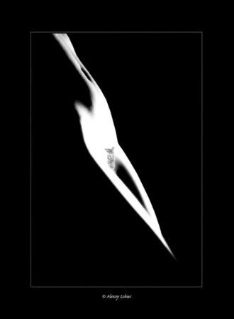 « Светопись или проба пера »