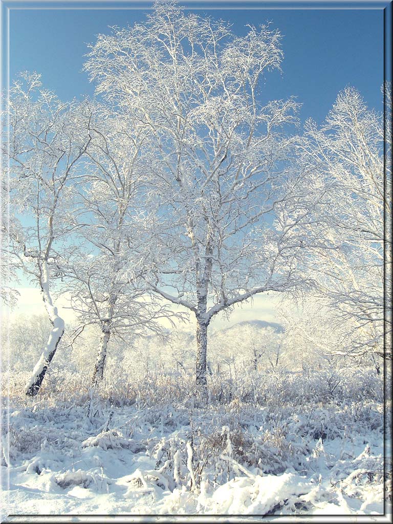 Первый снег