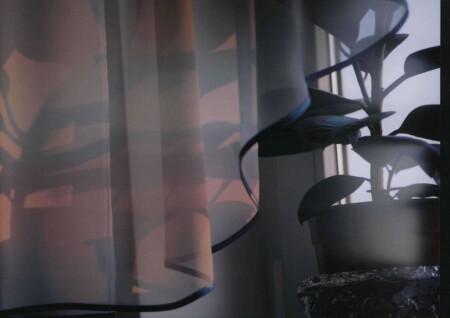 Пролетали тени