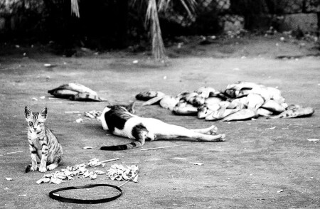 О недостатке духовной пищи