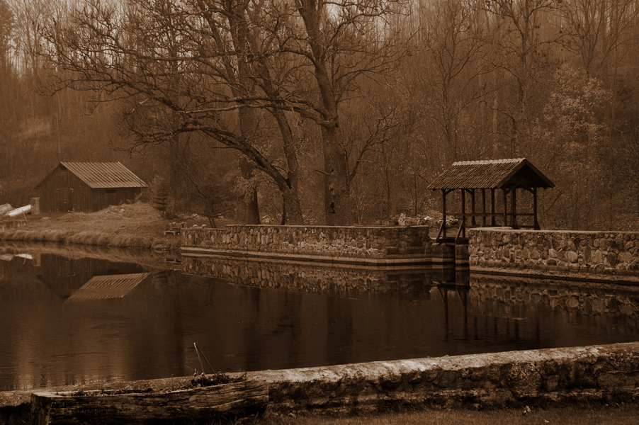 осенняя 2