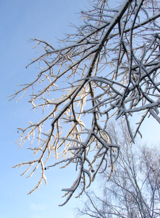 Мороз и солнце.