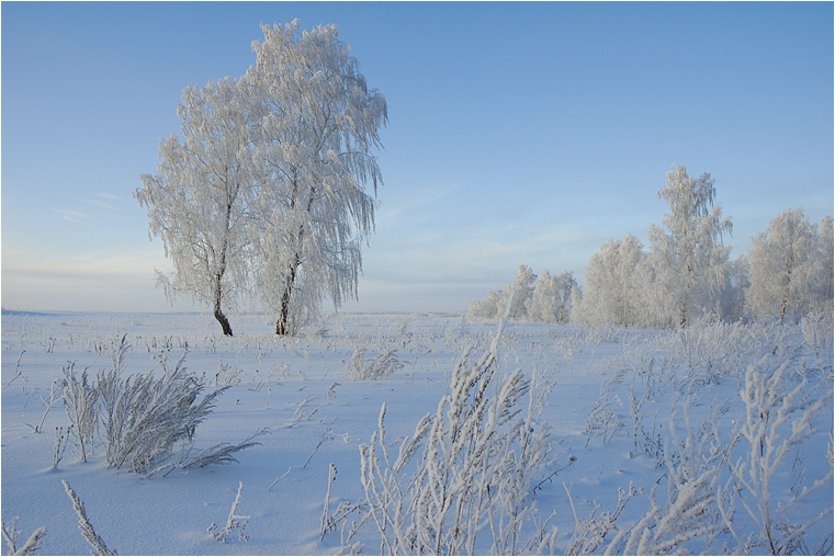 The Siberia...
