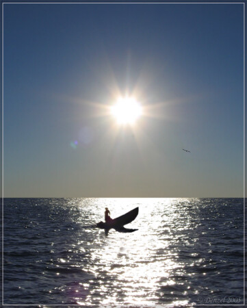 одинокий странник!!!