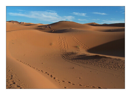 sahara