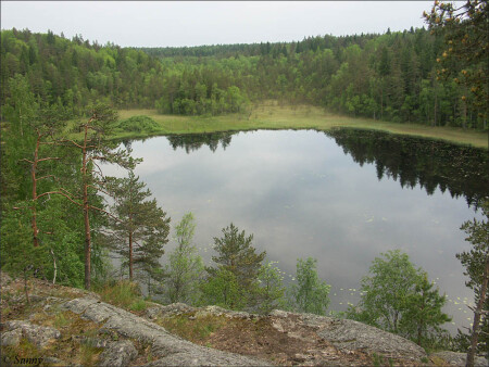Лесное карельское озеро-2