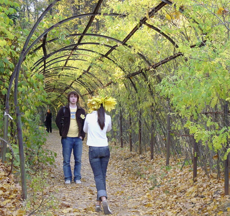 осенний &amp;quot;вальс&amp;quot;