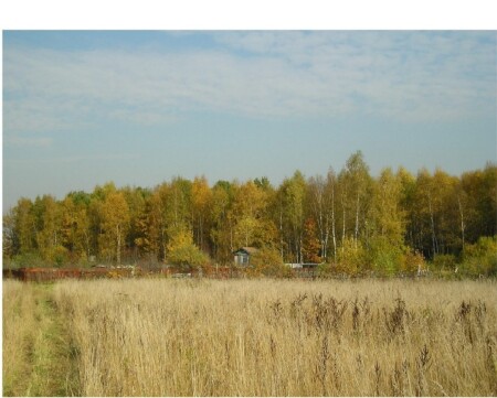 Палитра подмосковной осени