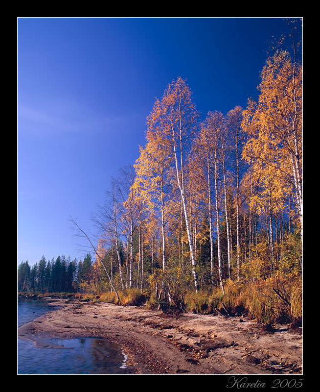 яркая осень