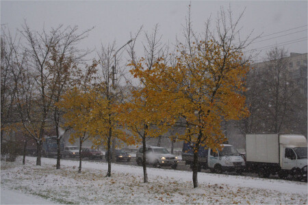 Первый снег