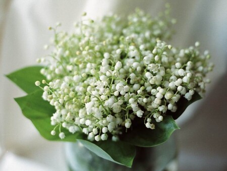 л*а*н*д*ы*ш*ы