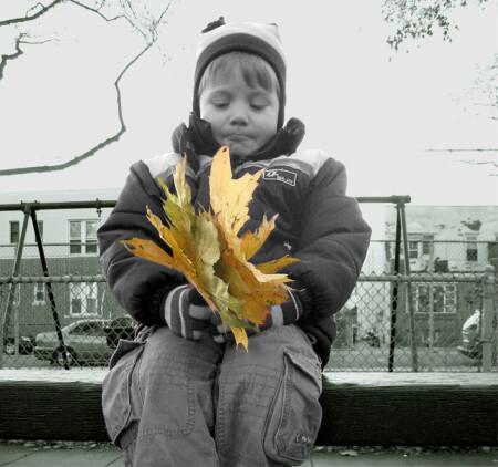 До свидание, Осень...