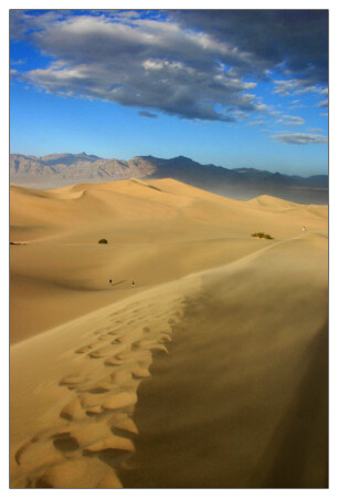 Dune
