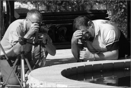 Не одинокий фотограф...