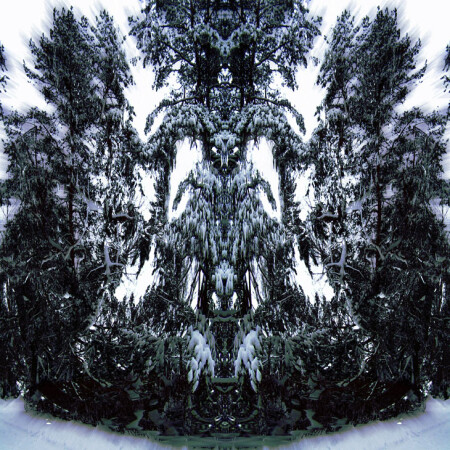 друиды.судья